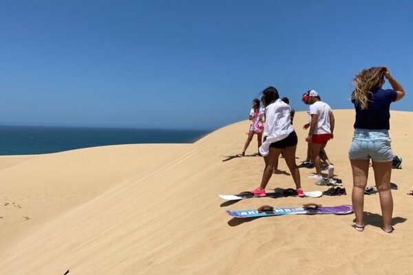 Le sandboarding