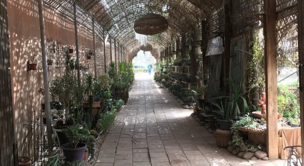 Kasbat souss – Image 2
