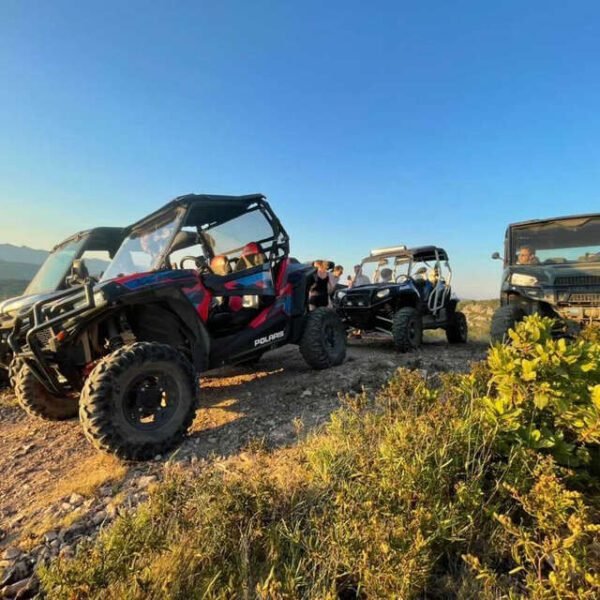 Buggy – Image 2