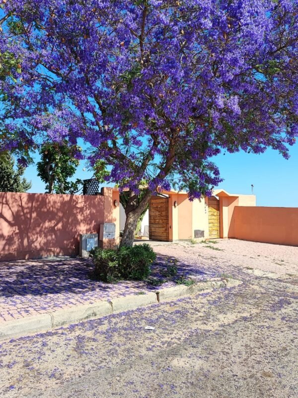 Villa d’exception à Iligh – Image 11